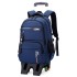 Natural Fish Backpack for Children 3-6 Grades Elementary School Students Pull up Backpack with Large Capacity Junior High School Backpack