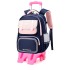 Natural Fish Elementary School Backpack Pull up Bag for Grades 1-3-6 School Backpack Dual use Six Wheel Stair Climbing Wholesale