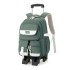 Natural backpack fish new lightweight pull rod backpack for primary school girls, large capacity for 3-6 grade middle school students