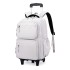 Natural Fish New Pull up Backpack for Primary School Students 3-6 Grades Middle School Students Backpack for High School Students Backpack