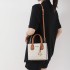 Trendy brand internet celebrity new fashionable, exquisite, atmospheric, contrasting color tote, European and American fashionable handbag, versatile diagonal cross bag for women