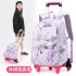 Natural Fish New Style, 2nd to 6th Grades, Climbing Stairs, Pullrod Backpack, Girls' Junior High School, Large Capacity, Detachable, One Piece Hair Collection