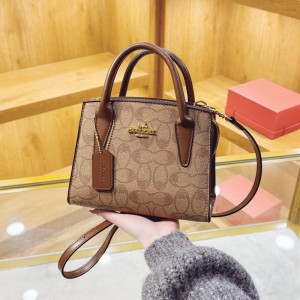 Premium Small Bag for Women 2025 Spring New Fashion Handbag, Internet Celebrity, Light Luxury, Large Capacity Single Shoulder Diagonal Cross Bag