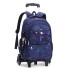 Natural Fish New Pull up Backpack Wholesale for Primary School Students, Boys' Fashion Large Capacity Cross border Hot Selling Dinosaur Starry Sky Map