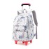 Natural Fish New Style, 2nd to 6th Grades, Climbing Stairs, Pullrod Backpack, Girls' Junior High School, Large Capacity, Detachable, One Piece Hair Collection