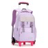 New product of Natural Fish: Pull up bag for elementary school students aged 8-12, detachable large capacity backpack for girls, cross-border dropshipping