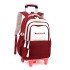 Natural Fish New Backpack for Children 3-6 Grades Primary School Students Pulling Rod with Wheels Climbing Stairs Dual purpose Junior High School Backpack