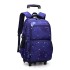 Natural Fish High School Student Three piece Set Pull up Backpack Wholesale Climbing Stairs Large Capacity Fashionable Multi layer Breathable Backpack