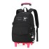 Natural Fish Cross border New Pull up Backpack for Primary School Students and Girls, Simple, Fashionable, Large Capacity, Anti Splashing, One Piece Hair Collection