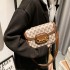 High end handbag for women 2024 new fashion retro printed small square bag saddle bag versatile single shoulder crossbody bag trend