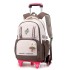 Natural Fish New Lightweight Pull up Backpack Primary School Girls' Large Capacity Backpack 3-6 Grade Middle School Students' Backpack