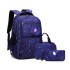 Natural Fish Personalized Fashion Starry Sky Primary and Secondary School Student Backpack Boys 4-6 Grades Three Piece Set Backpack