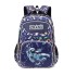 Natural Fish Elementary School Children's Third to Sixth Grades Backpack Wear resistant Ultra light Double Shoulder Bag Wholesale