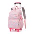 Natural Fish New Primary School Students' Pull up Backpack for Girls 2-5 Grades, Large Capacity Detachable Backpack for Hair Collection