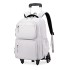 Natural Fish New Pull up Backpack for Primary School Students 3-6 Grades Middle School Students Backpack for High School Students Backpack