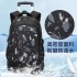 Natural Fish New Style, 3rd to 9th Grades, Climbing Stairs, Pullrod Backpack, Junior High School Boys, Large Capacity, Detachable, One Piece Hair Collection