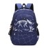 Natural Fish's new elementary school backpack for boys, large capacity cross-border popular fashion trend backpack dropshipping