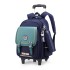 Natural Fish New British Style Pull up Backpack for Primary School Boys and Girls, Durable and Large Capacity, First to Sixth Grade Hair Collection