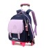 Natural Fish New British Style Pull up Backpack for Primary School Boys and Girls, Durable and Large Capacity, First to Sixth Grade Hair Collection