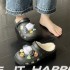 Cotton slippers for women in autumn and winter 2023 new cute speechless dog DIY hole shoes indoor height increasing home cotton slippers