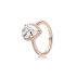 Pan Family White Copper Sparkling Zircon Dazzling Daisy Rose Gold Ring Silver Plated Sublime Elegant Trendy Cross border Exclusive