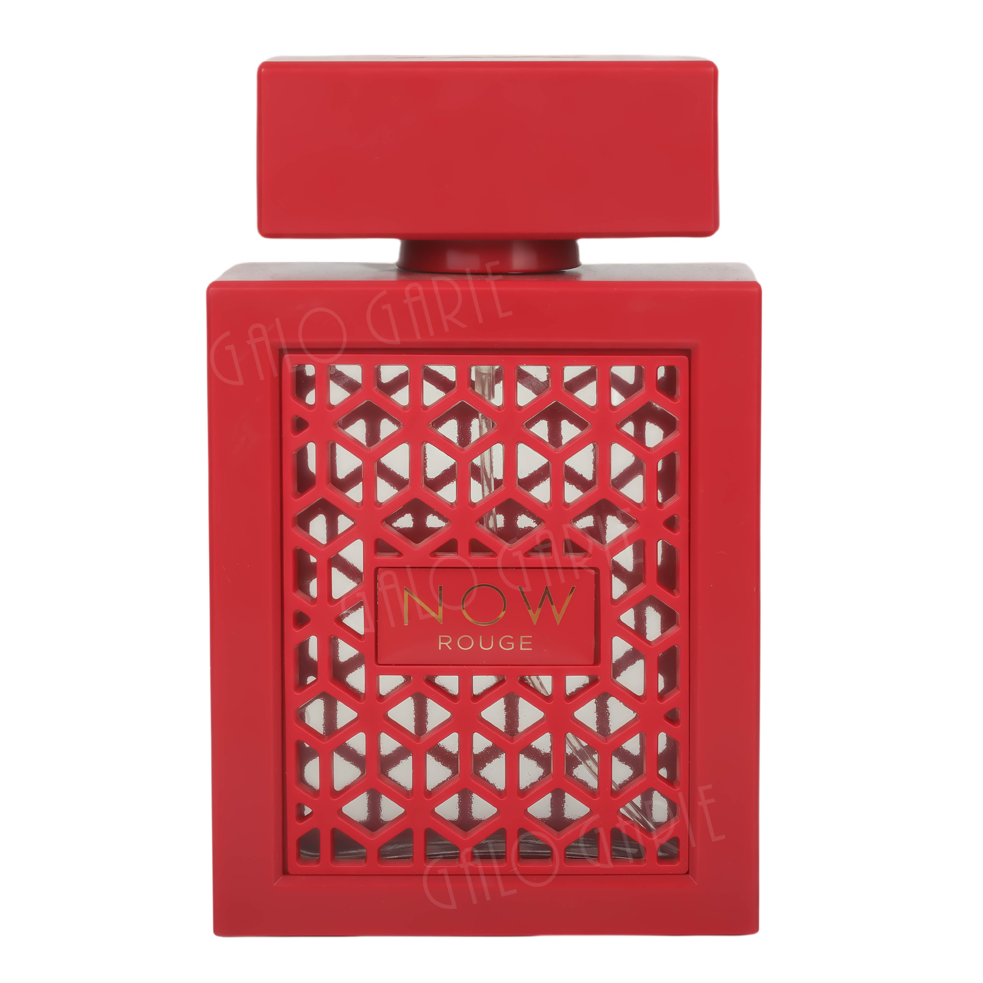 Arab perfume RAVE Now Rouge Brazilian perfume 100ml Middle East Dubai perfume