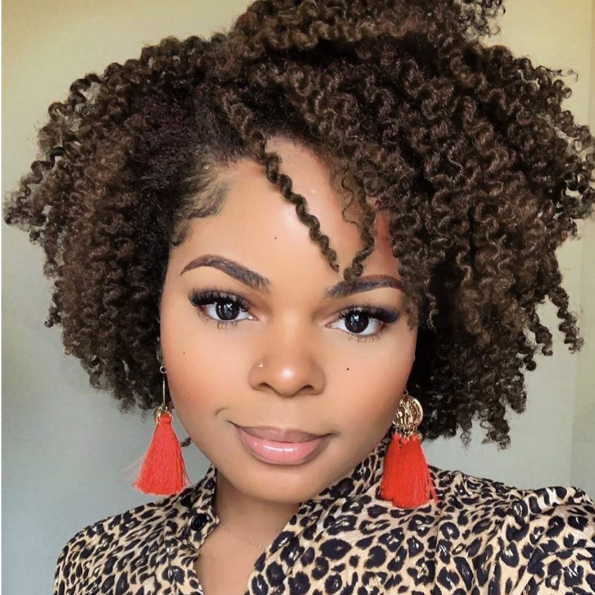 Amazon's New African Small Roll Wig, European and American Wig, Women's Short Curly Hair, Partial Split Full Top Synthetic Headset Wigs
