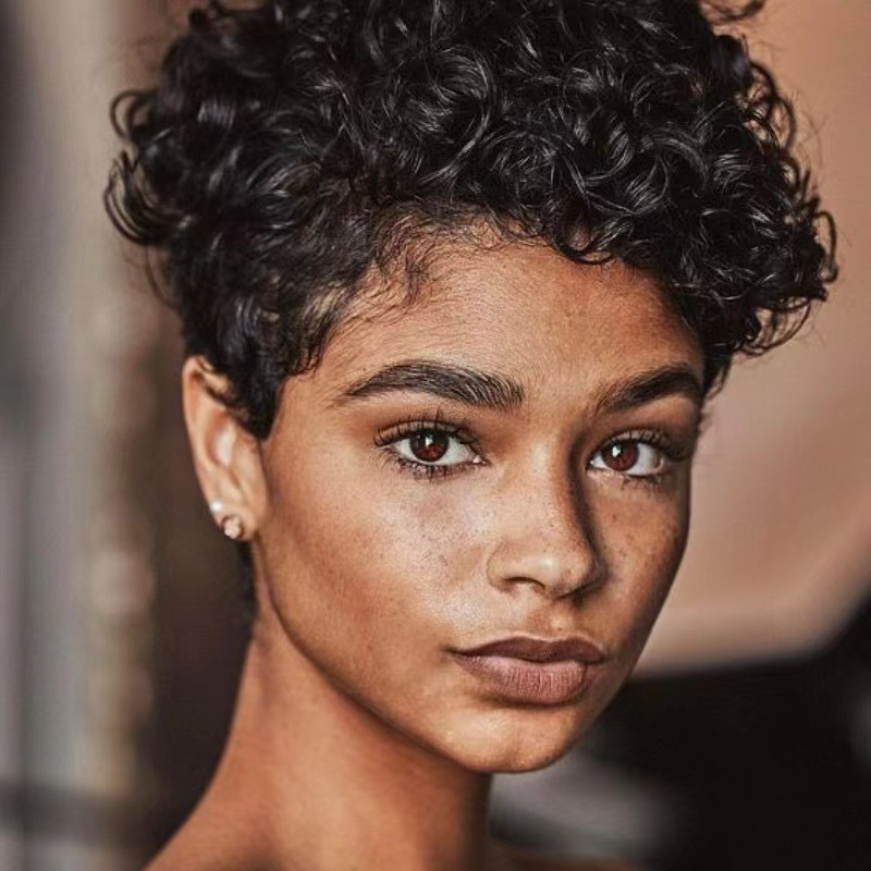 Wig for women, short curly hair, short hair for women, fluffy and natural, African, European and American fashion hairstyle manufacturers, spot wholesale, foreign trade Wig for women, short curly hair, short hair for women, fluffy and natural, African, European and American fashion hairstyle manufacturers, spot wholesale, foreign trade