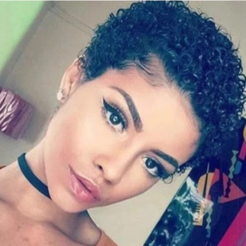 Foreign Trade Women's Small Roll Wig Headset Short African Women's Curly Hair Headset Short Hair Micro Roll Chemical Fiber Headset Wholesale