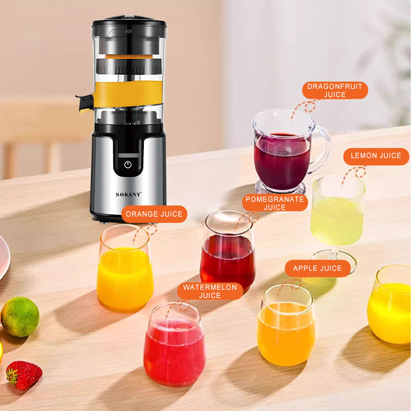 Cross border European standard electric juicer, automatic juicer, orange press, 800W multifunctional household juicer, juice extractor Cross border European standard electric juicer, automatic juicer, orange press, 800W multifunctional household juicer, juice extractor